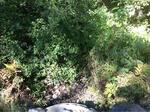Culvert Crossing, Sanford, Maine