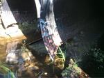 Multiple Culvert Crossing, Trib To Little River, Lebanon, Maine