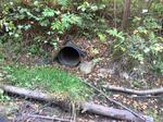 Culvert Crossing, Trib To Mousam, Alfred, Maine