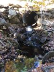 Culvert Crossing, Carll Branch, Waterboro, Maine