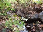Culvert Crossing, Waterboro, Maine