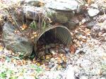 Culvert Crossing, Waterboro, Maine