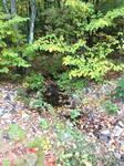 Culvert Crossing, Waterboro, Maine