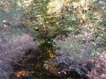 Culvert Crossing, Hamilton Branch, Waterboro, Maine
