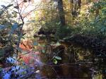 Culvert Crossing, Hamilton Branch, Waterboro, Maine