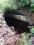 Culvert Crossing, Hamilton Branch, Waterboro, Maine