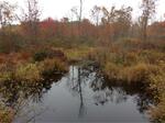 Culvert Crossing, Carll Branch, Waterboro, Maine