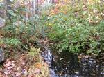 Culvert Crossing, Waterboro, Maine