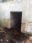 Culvert Crossing, Waterboro, Maine