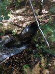 Culvert Crossing, Trib To Hamilton Branch, Lyman, Maine