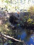 Culvert Crossing, Trib To Hamilton Branch, Waterboro, Maine