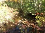 Culvert Crossing, Trib To Hamilton Branch, Waterboro, Maine