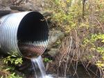 Culvert Crossing, Trib To Shaker Brook, Alfred, Maine