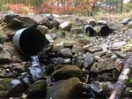 Multiple Culvert Crossing, Trib To Shaker Brook, Alfred, Maine