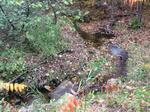 Multiple Culvert Crossing, Trib To Shaker Brook, Alfred, Maine