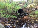 Culvert Crossing, Trib To Shaker Brook, Alfred, Maine