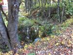 Culvert Crossing, Trib To Littlefield River, Alfred, Maine