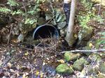 Culvert Crossing, Trib To Littlefield River, Alfred, Maine