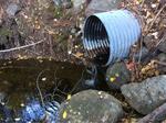 Culvert Crossing, Trib To Littlefield River, Alfred, Maine