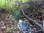 Culvert Crossing, Trib To Littlefield River, Alfred, Maine