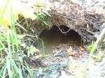 Culvert Crossing, Waterboro, Maine