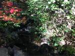 Multiple Culvert Crossing, Waterboro, Maine