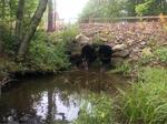 Multiple Culvert Crossing, Sanford, Maine