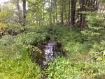 Multiple Culvert Crossing, Sanford, Maine