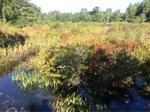 Culvert Crossing, York River, Eliot, Maine