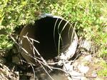 Culvert Crossing, Kittery, Maine
