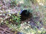 Culvert Crossing, Trib To Little River, York, Maine
