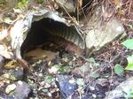 Culvert Crossing, York, Maine