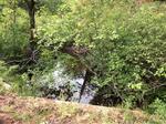 Culvert Crossing, Wells, Maine