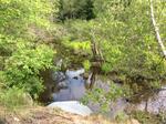 Culvert Crossing, Wells, Maine