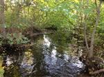 Multiple Culvert Crossing, Bragdon Brook, Wells, Maine