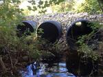 Multiple Culvert Crossing, Bragdon Brook, Wells, Maine