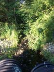 Multiple Culvert Crossing, Bragdon Brook, Wells, Maine