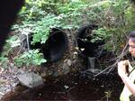 Multiple Culvert Crossing, Biddeford, Maine