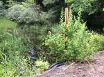 Culvert Crossing, Biddeford, Maine