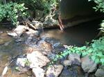 Culvert Crossing, Mill Brook, Saco, Maine