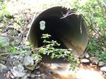 Culvert Crossing, Mill Brook, Saco, Maine