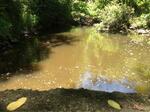 Culvert Crossing, Mill Brook, Scarborough, Maine