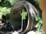 Culvert Crossing, Mill Brook, Scarborough, Maine