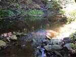 Culvert Crossing, Willow Brook, Scarborough, Maine