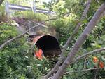 Culvert Crossing, Beaver Brook, Scarborough, Maine
