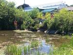 Multiple Culvert Crossing, Scarborough, Maine