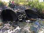 Multiple Culvert Crossing, Finnerd Brook, Scarborough, Maine