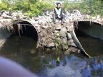 Multiple Culvert Crossing, Finnerd Brook, Scarborough, Maine