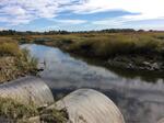 Multiple Culvert Crossing, Scarborough, Maine