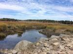 Multiple Culvert Crossing, Scarborough, Maine